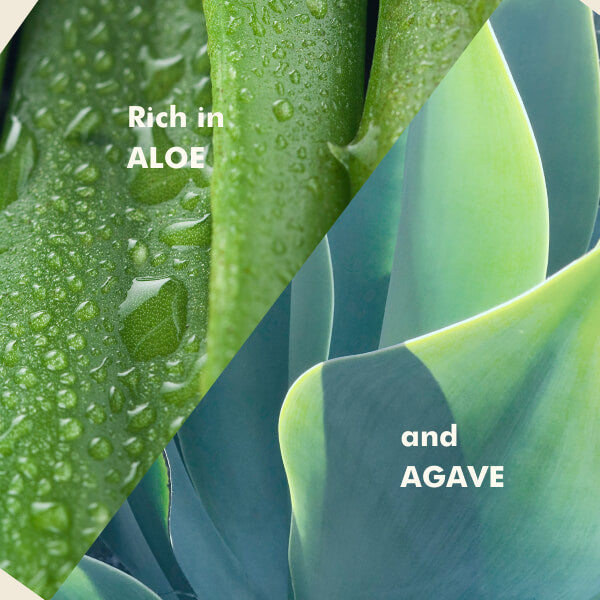 a split photo showing two ingredients in the lube, bright green details of aloe vera and agave.