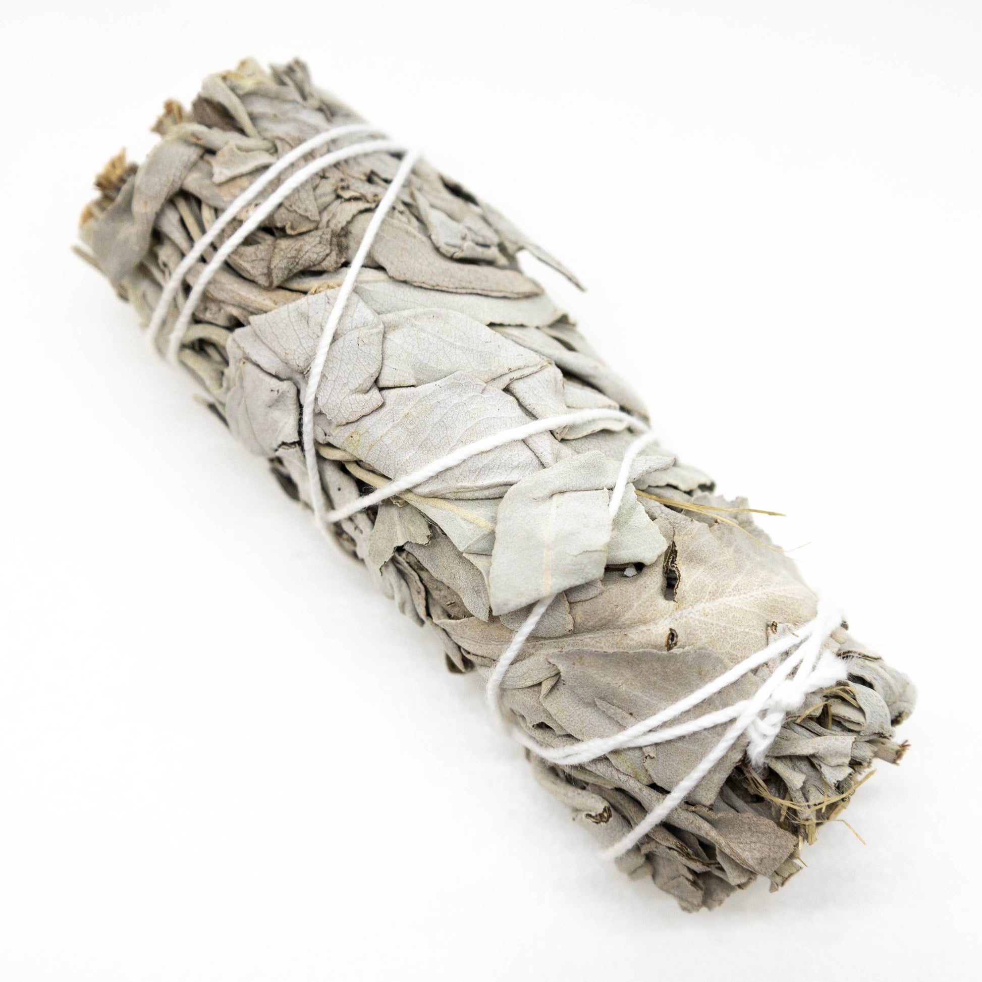 A pale green bundle of dried white sage leaves, tied together with white cotton sting. 